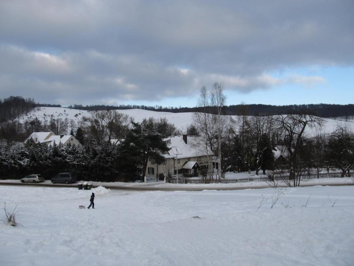 Chata Za Gorami Zagórze Śląskie Esterno foto